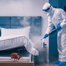 You are currently viewing Bed Bug Killer in Lahore Effective Bed Bug Control Solutions